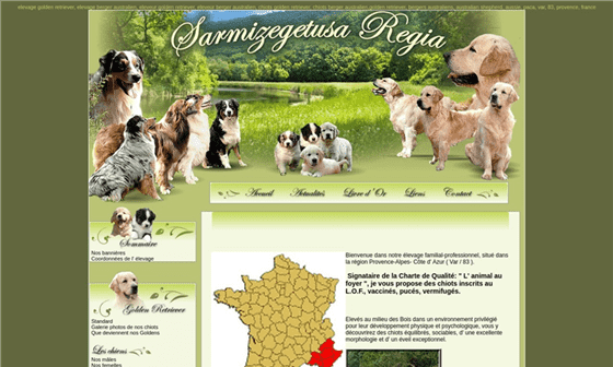Elevage de Golden Retriever et Berger Australien Elevage de Golden Retriever et Berger Australien